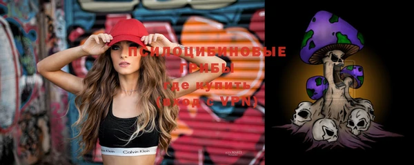 мдма Богданович