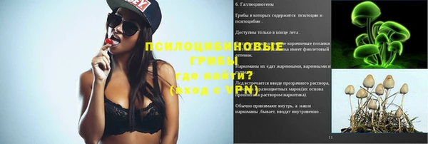 мдма Богданович