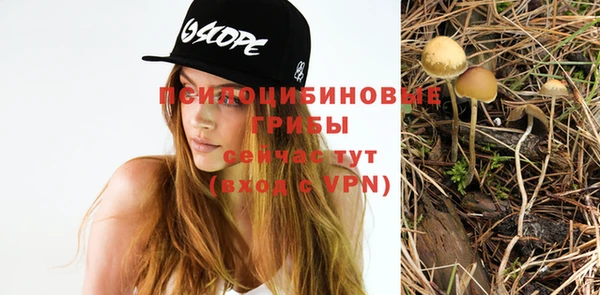мдма Богданович
