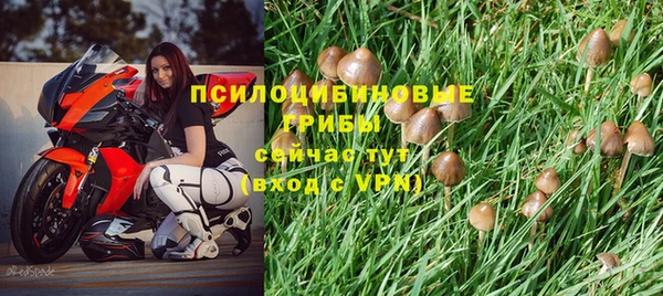 первитин Богородицк