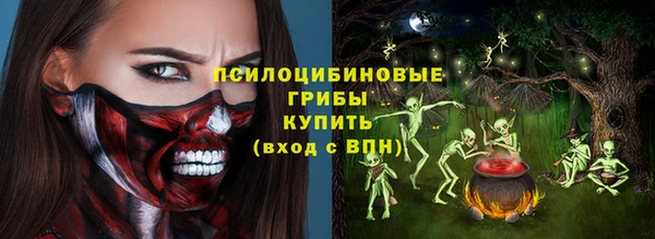 первитин Богородицк