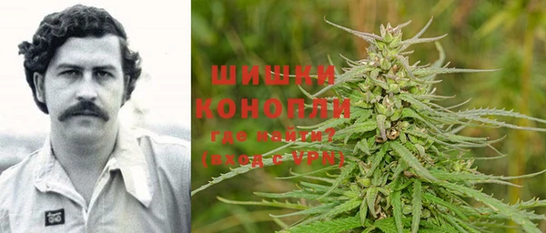 первитин Богородицк