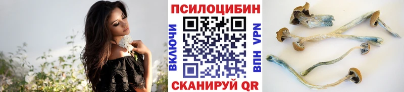 Галлюциногенные грибы ЛСД  сколько стоит  Михайловск 